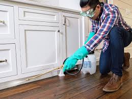 Real Estate Pest Inspections in Lexington, OH